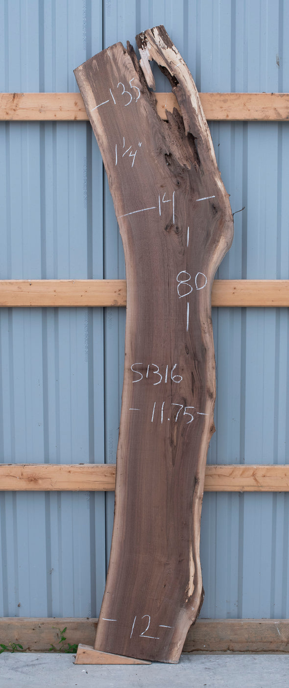 Black Walnut - S1316