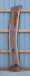 Black Walnut - S1318