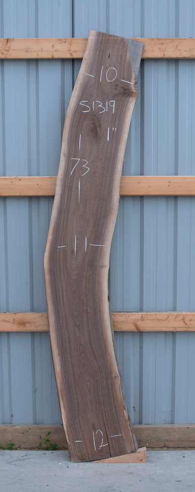 Black Walnut - S1319