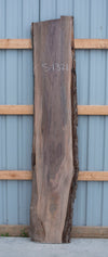 Black Walnut - S1321