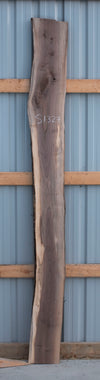 Black Walnut - S1327