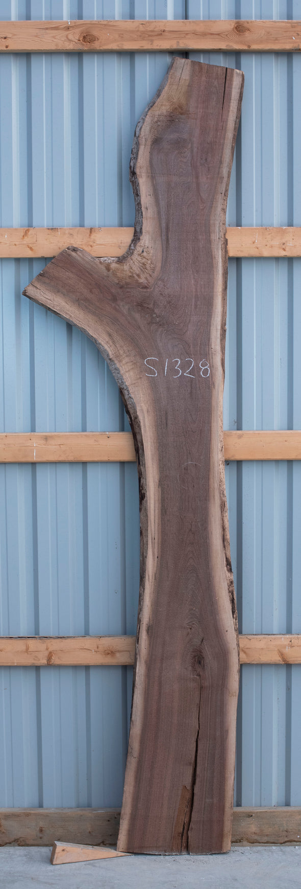 Black Walnut - S1328