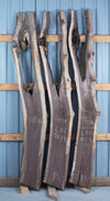 Black Walnut - S1335, Black Walnut - S1336, Black Walnut - S1337, & Black Walnut - S1338 Bookmatched Quad