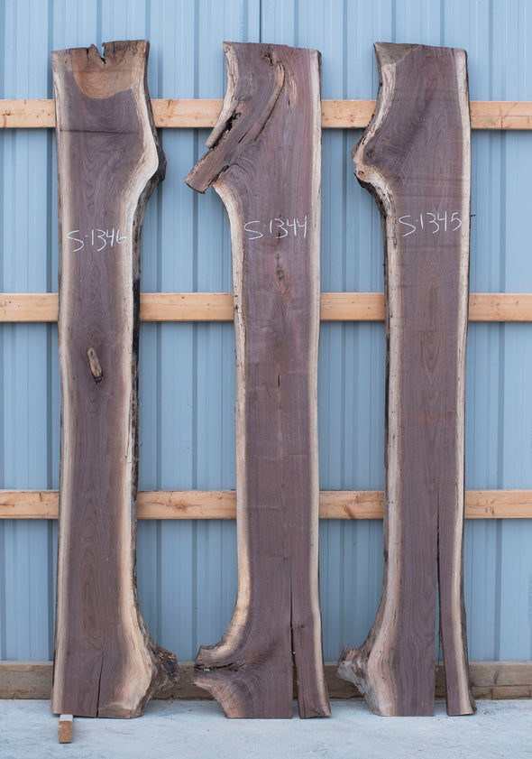 Black Walnut - S1343, Black Walnut - S1344, & Black Walnut - S1345 Trio