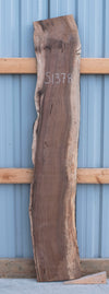 Black Walnut - S1378