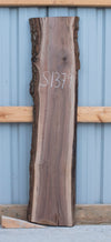 Black Walnut - S1379