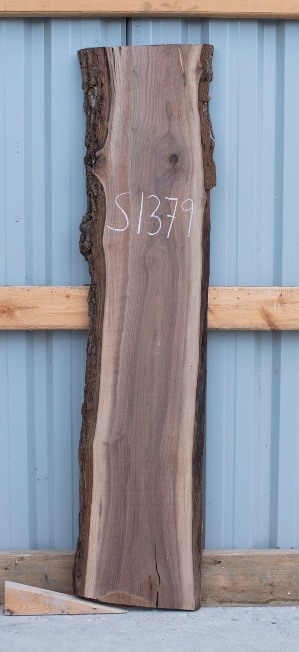 Black Walnut - S1379