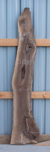 Black Walnut - S1385