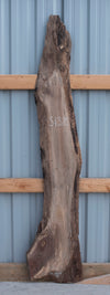 Black Walnut - S1385