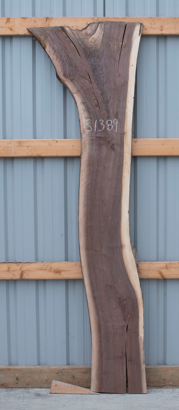 Black Walnut - S1389