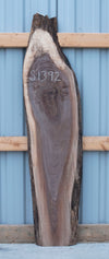 Black Walnut - S1392