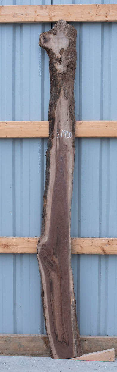 Black Walnut - S1400