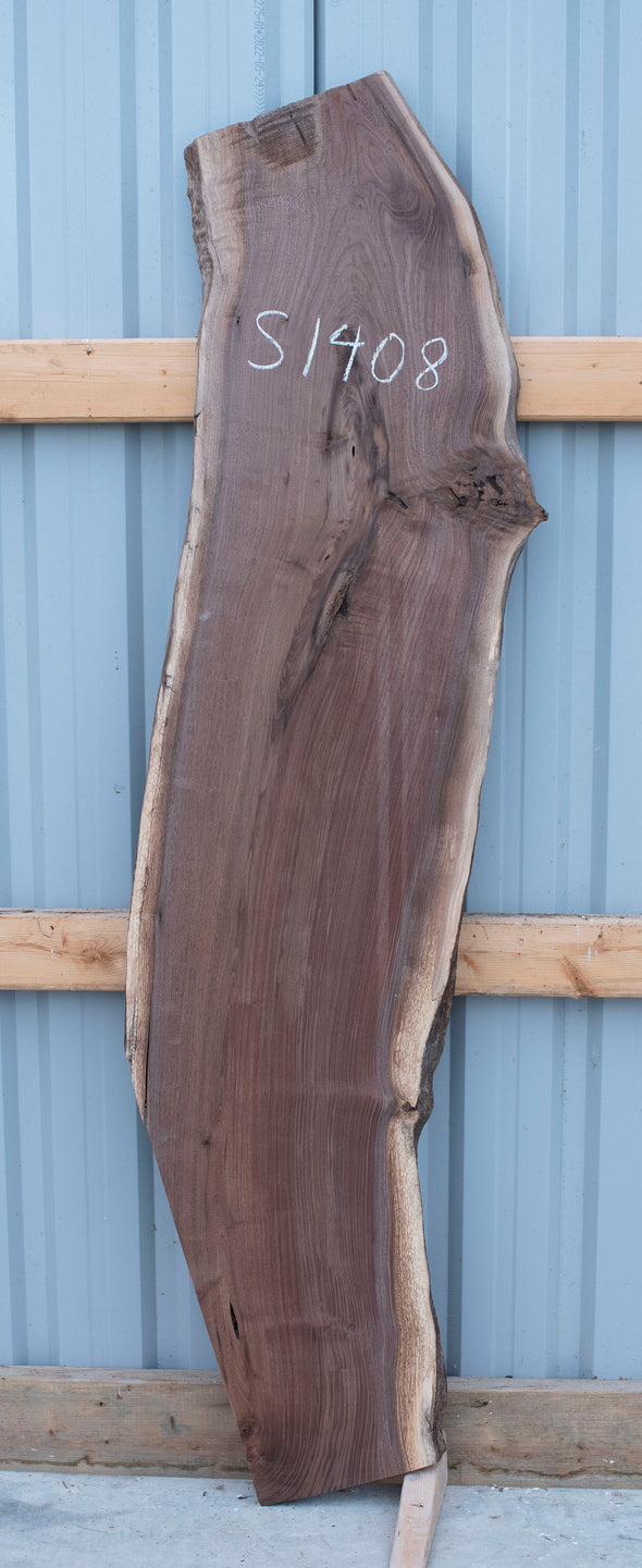 Black Walnut - S1408