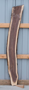 Black Walnut - S1416