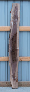 Black Walnut - S1419