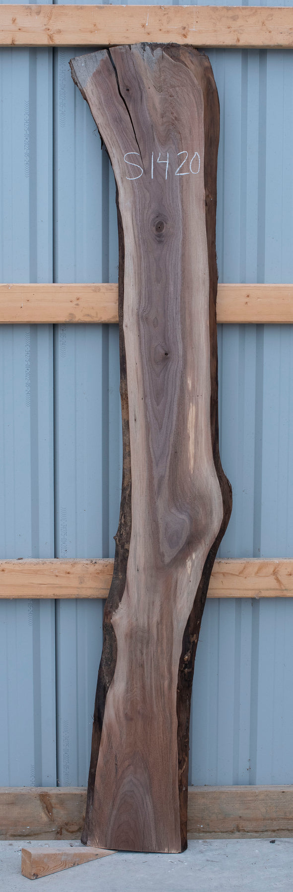 Black Walnut - S1420