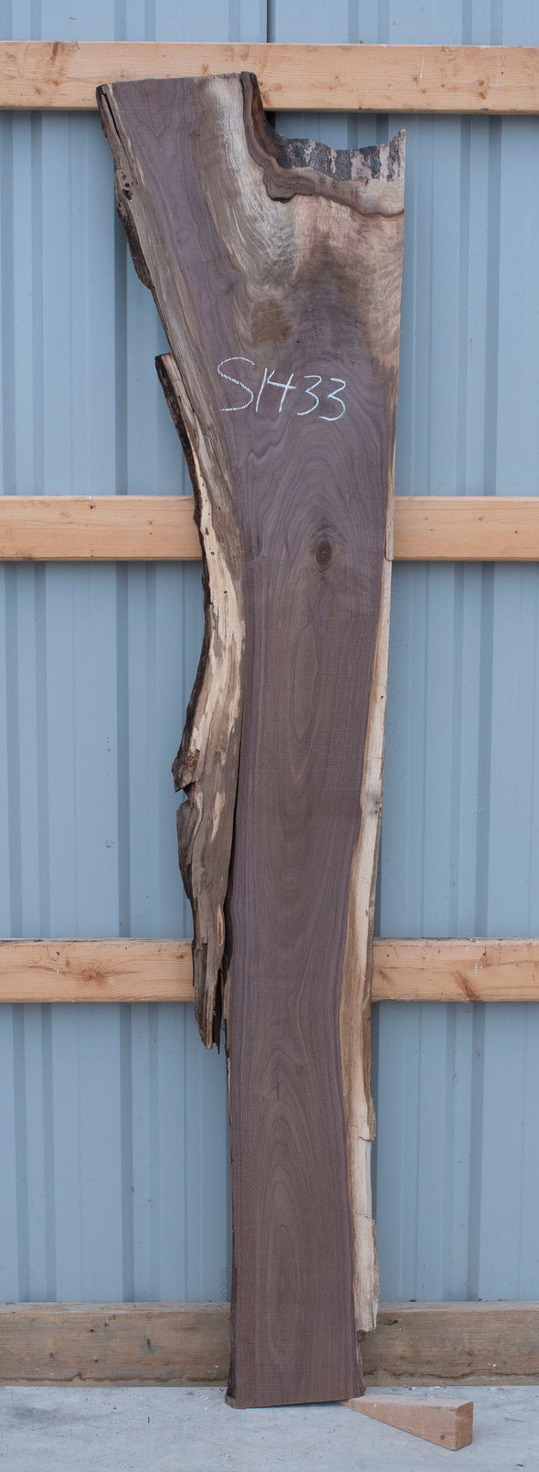 Black Walnut - S1433