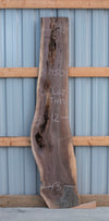 Black Walnut - S1450