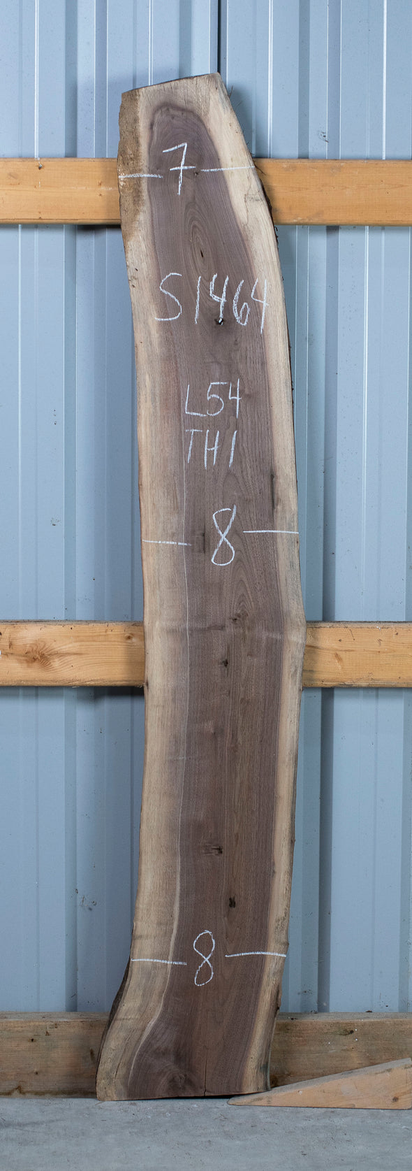 Black Walnut - S1464