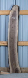 Black Walnut - S1464