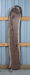 Black Walnut - S1456 & Black Walnut, Black Walnut - S1462, Black Walnut - S1465, Black Walnut - S1466 Bookmatched Quad