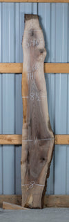 Black Walnut - S1467