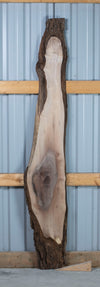 Black Walnut - S1467