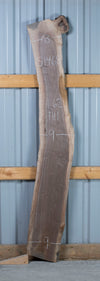 Black Walnut - S1468