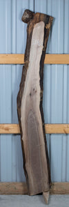 Black Walnut - S1468