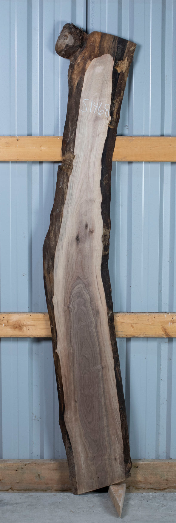 Black Walnut - S1468
