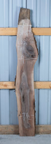 Black Walnut - S1469