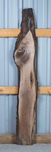 Black Walnut - S1469