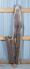 Black Walnut - S1470