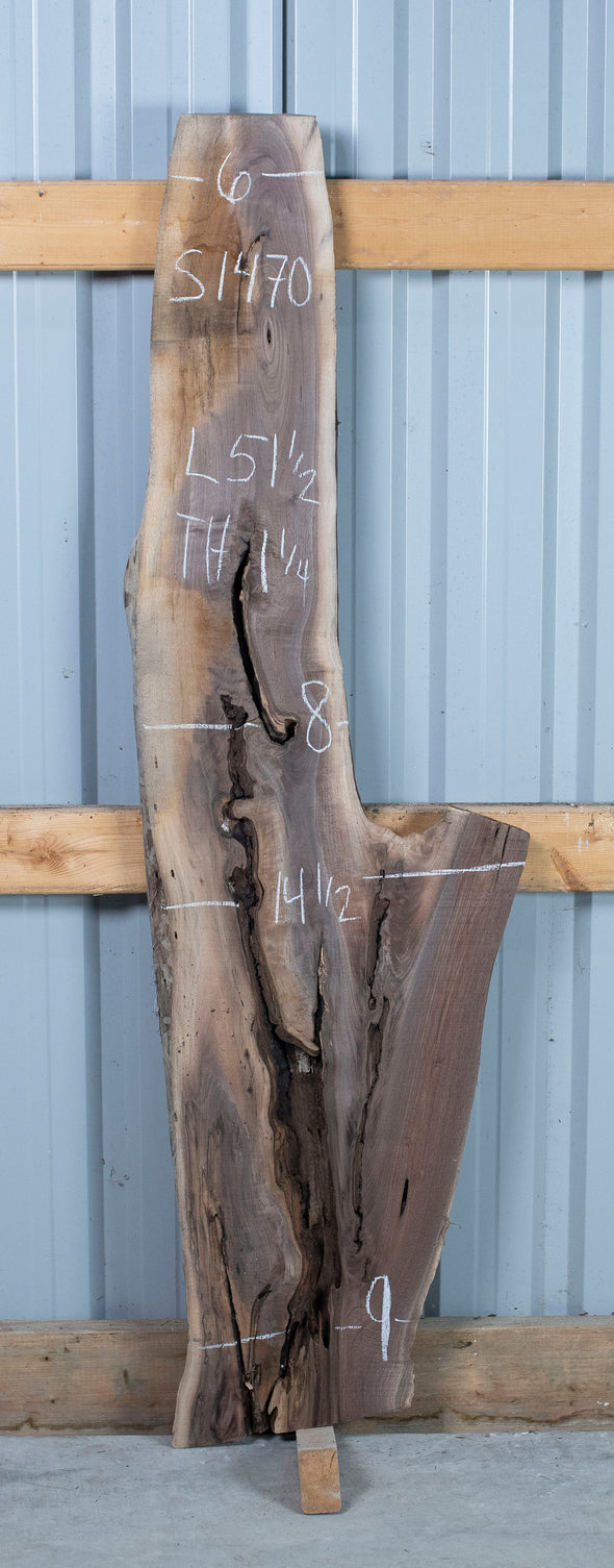 Black Walnut - S1470