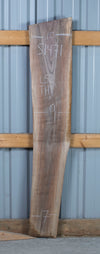 Black Walnut - S1471