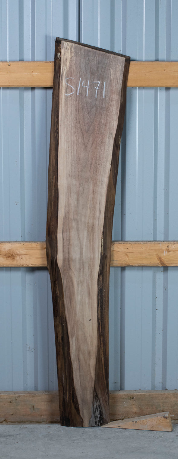 Black Walnut - S1471