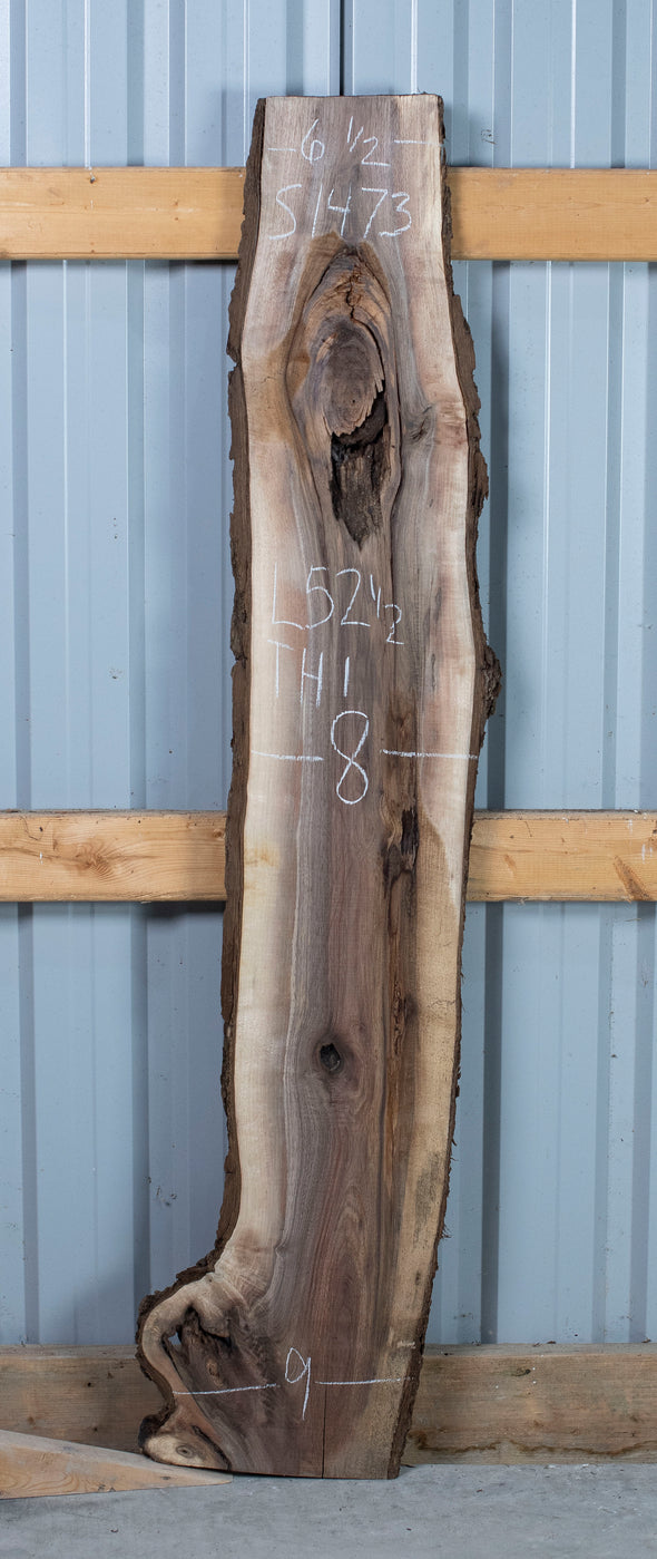 Black Walnut - S1473