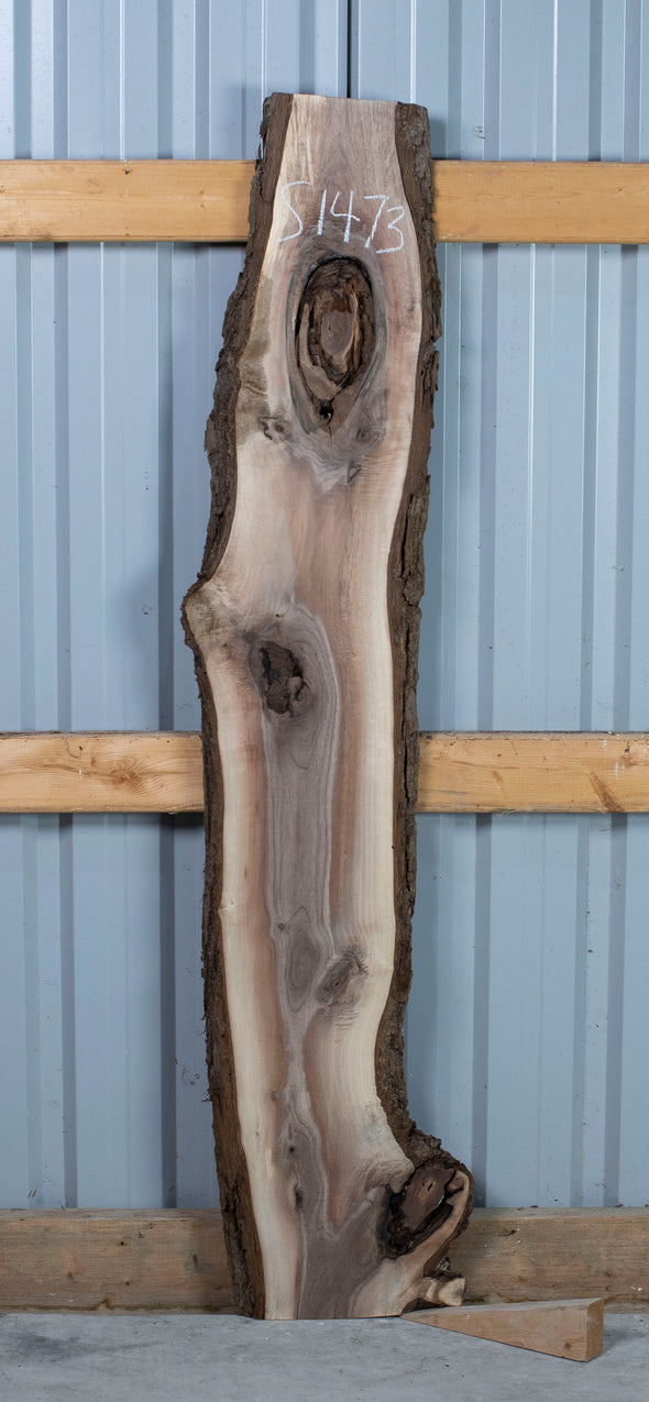Black Walnut - S1473