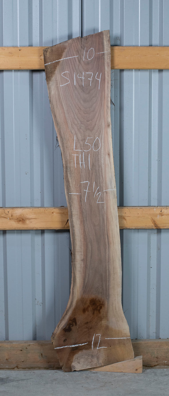 Black Walnut - S1474