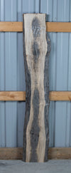 Maple - S1475
