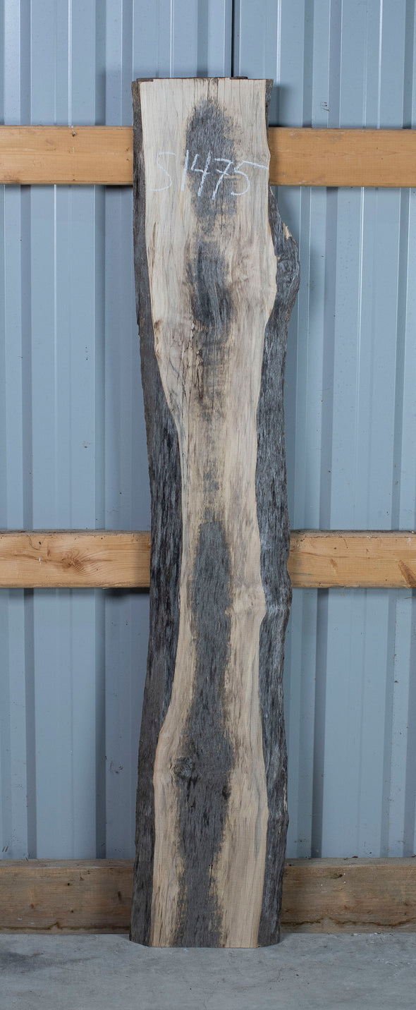 Maple - S1475