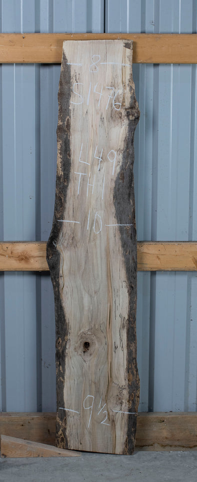 Spalted Maple - S1476