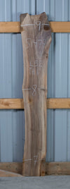 Black Walnut Live Edge Slab - S1477