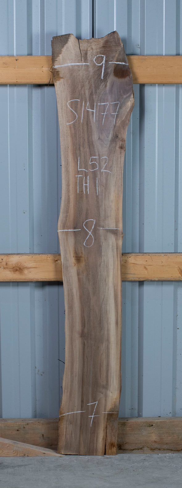 Black Walnut Live Edge Slab - S1477