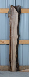 Black Walnut Live Edge Slab - S1477