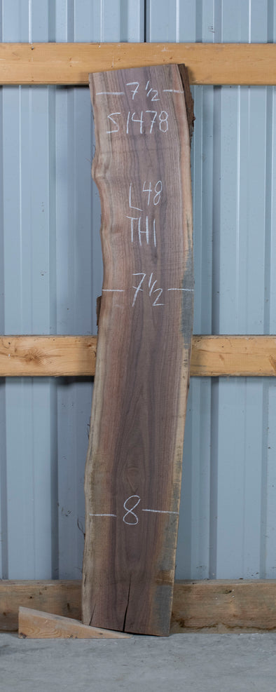 Black Walnut - S1478