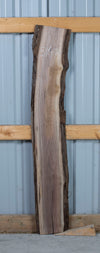 Black Walnut - S1478