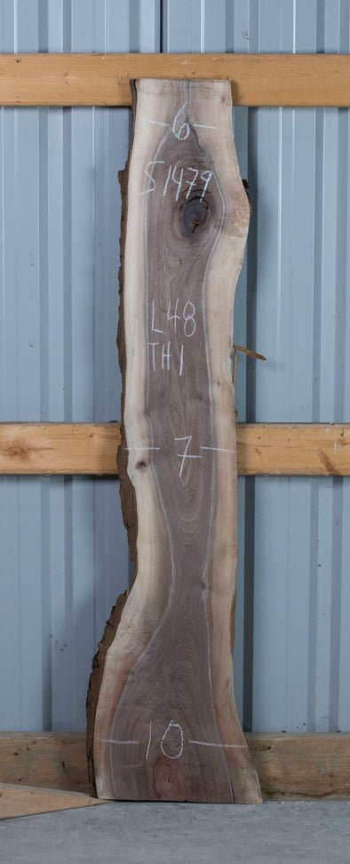 Black Walnut - S1479