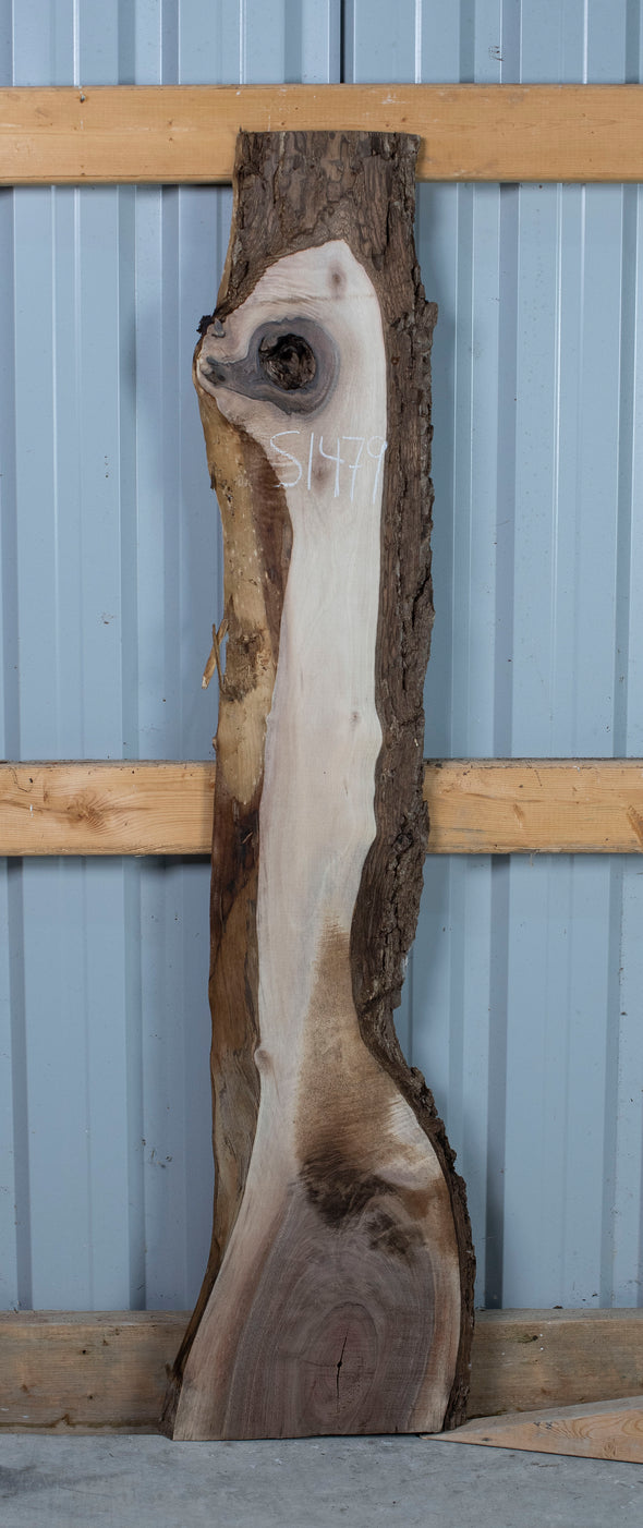 Black Walnut - S1479
