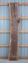 Black Walnut - S1497, Black Walnut - S1503, and Black Walnut - S1505 Trio